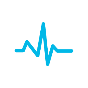 firmguard secure beat icon